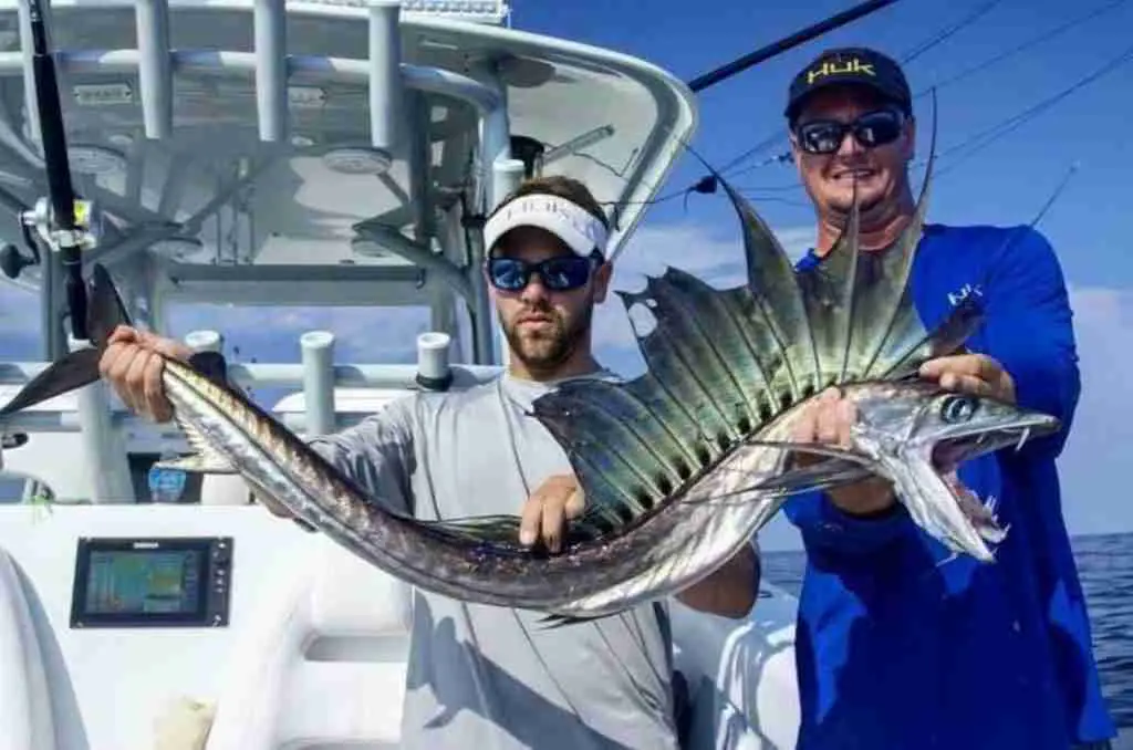 Lancetfish Hatteras NC