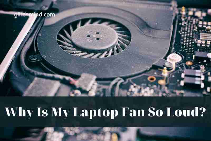 Why Is My Laptop Fan So Loud? How To Fix It? Tips New 2022