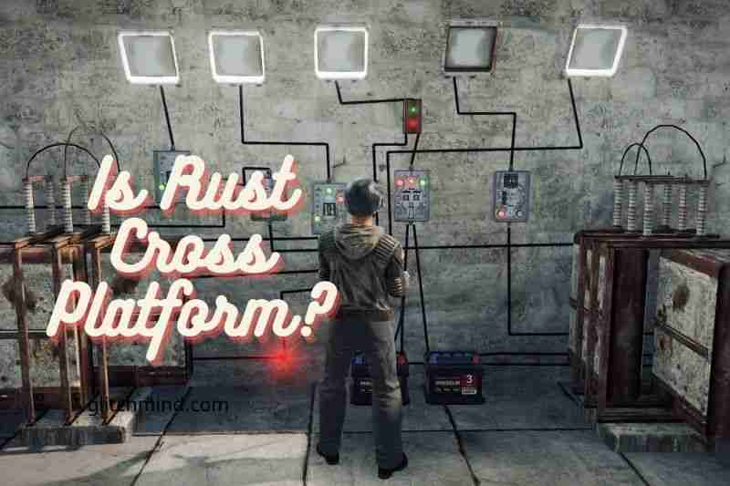 What is Rust's Limited Cross-Platform?