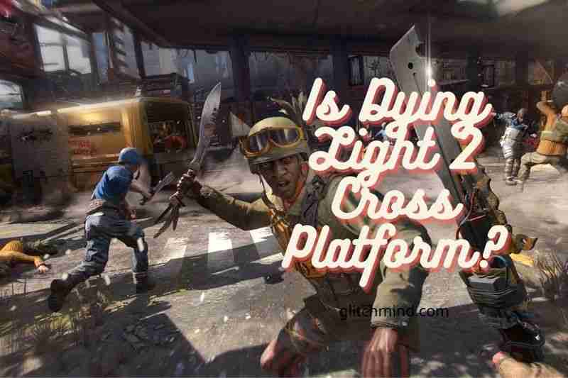 dying light 2 crossplay reddit