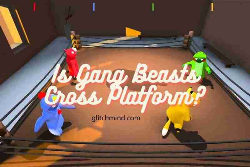 Would Upcoming Versions of Gang Beasts will be cross-platform?