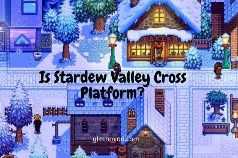 Starting a new Multiplayer save in Stardew Valley
