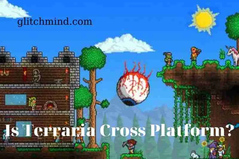 What is Terraria all about?