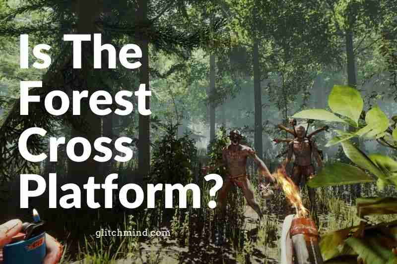 What future will The Forest bring to crossplay?