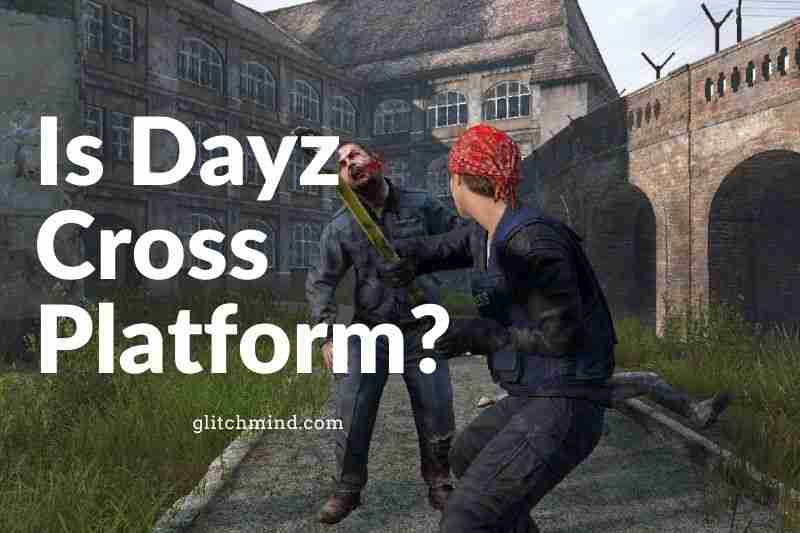 What is DayZ?