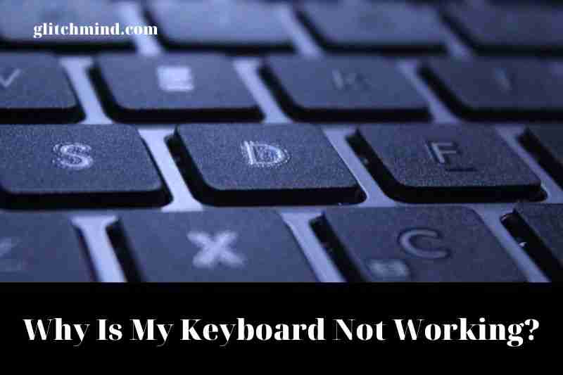 Why Is My Keyboard Not Working? Tips New 2022