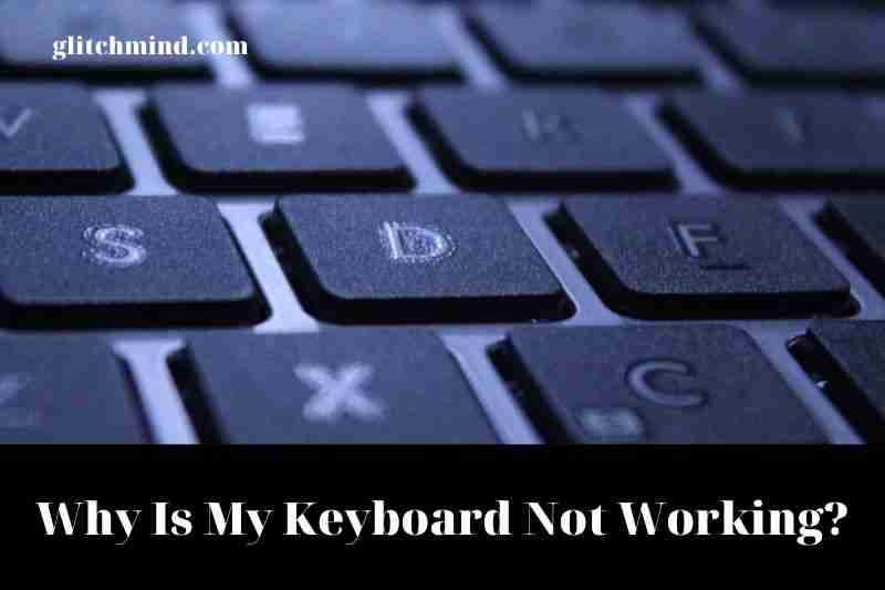 why-is-my-keyboard-not-working-tips-new-2022